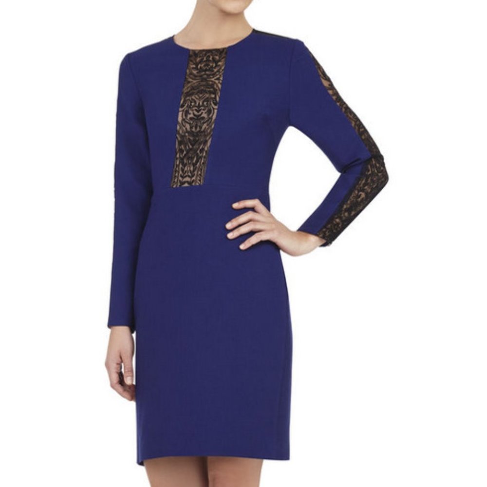 BCBGMaxAzria Eloisa Embroidered Sheer Lace Long Sleeve Illusion Dress